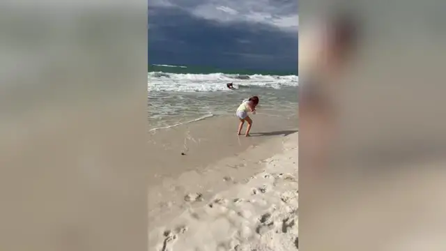 Video thumbnail for Grandfather's 32-Year Seashell Hunting Secret Still Magical | Happily TV