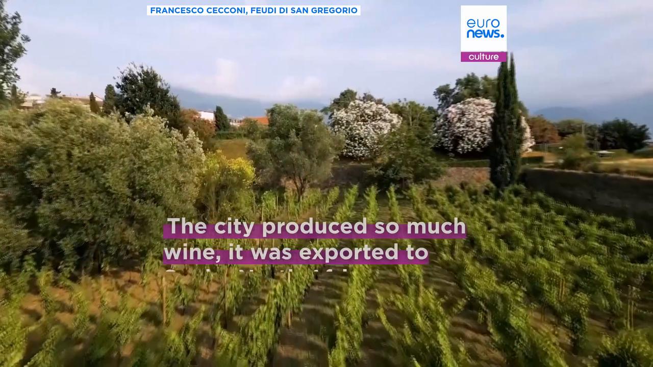 Video thumbnail for From the old to the new: Pompeii project revives ancient wine making tradition