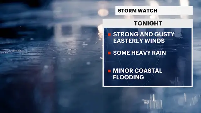Video thumbnail for STORM WATCH: Rain and gusty winds tonight, conditions improve on Monday for the Bronx
