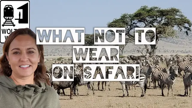 'Video thumbnail for What Not to Wear on an African Safari'