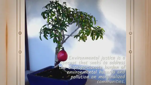 Video thumbnail for What Does Environmental Justice Mean: Unveiling the Meaning of Environmental Justice