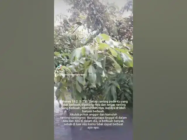 Video thumbnail for Bertumbuh dan Berbuah Lebat