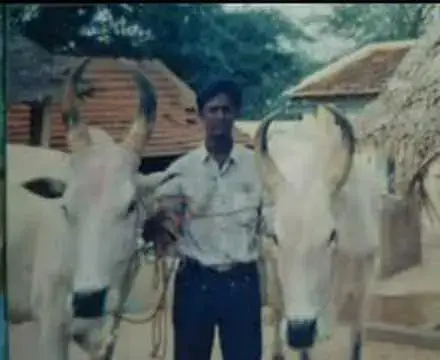 Video thumbnail for JACK4