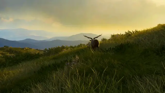 Video thumbnail for theHunter: Call of the Wild - Official ‘Scotland Hunting Reserve’ Announcement Trailer