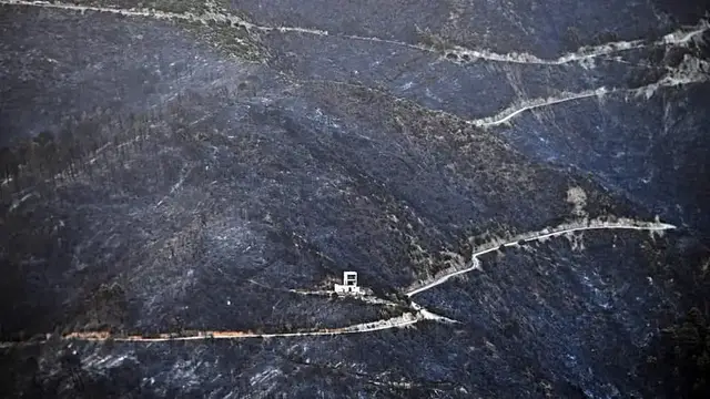 Video thumbnail for Six killed in Algeria forest fires: interior ministry