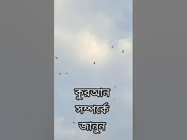 'Video thumbnail for পৃথিবীতে কুরআন নিয়ে কোন ফেরেশতাহ্ নেমেছিলেন? | Mizanur Rahman Azhari | Islamic Short Video'