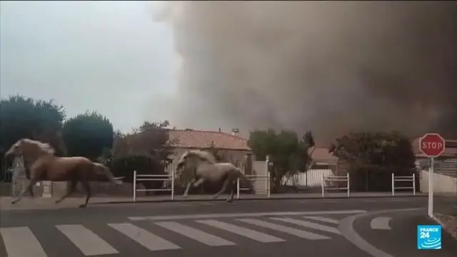 Video thumbnail for Wildfires ravage southwest France: Thousands face devastation after evacuation