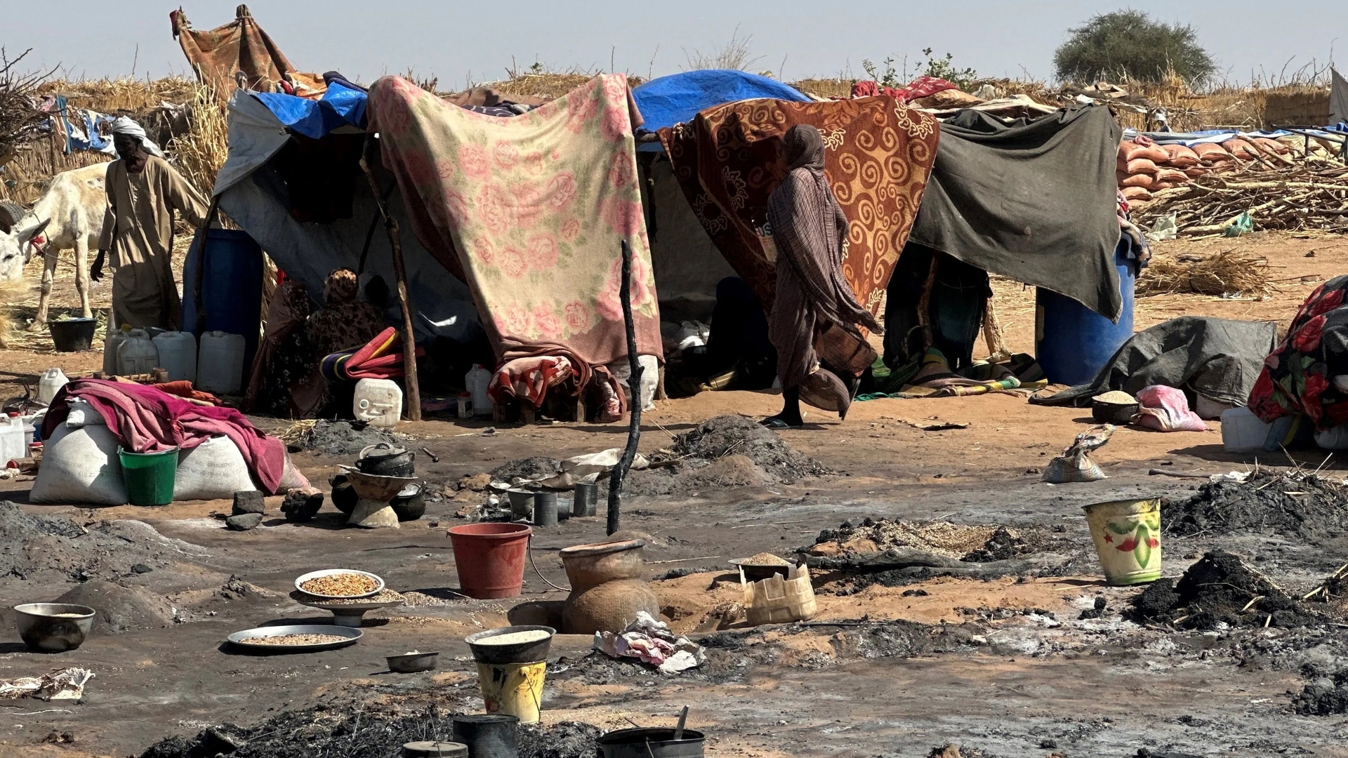 Video thumbnail for Sudan conflict: UN experts find 'hallmarks of genocide' in el-Fasher
