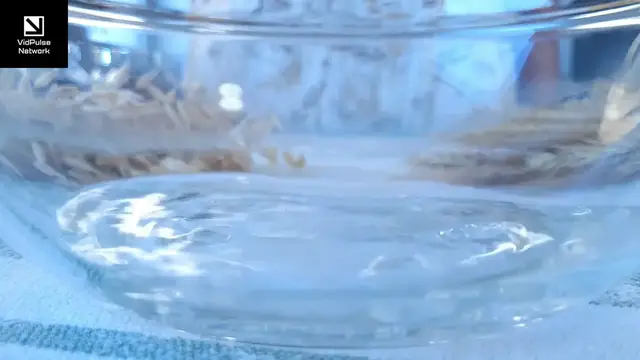 Video thumbnail for Easy Sesame Cake Recipe - Must-Try!