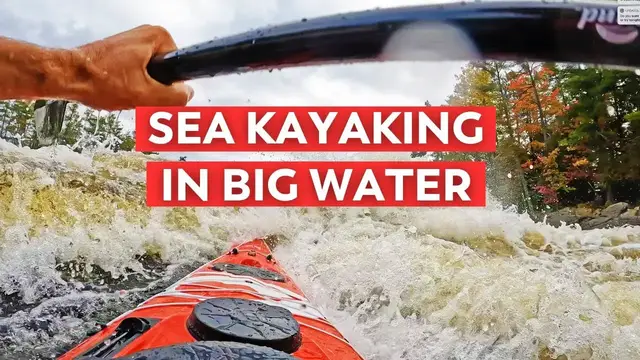 'Video thumbnail for This Sea Kayak Was Scared For Its Life!'