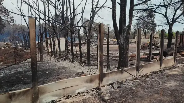Video thumbnail for France: Dramatic scenes show damage after Gironde wildfire in southwestern France.