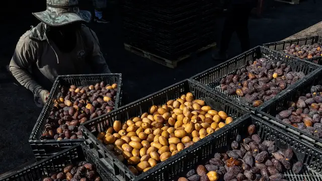 Video thumbnail for Why Dutch ban on illegal Israeli settlement goods may be hard to enforce