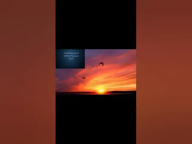 Video thumbnail for Early Rising Health Benefits | Sayings About Early Rising