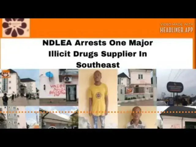 Video thumbnail for NDLEA Arrests One Major Illicit Drugs Supplier In Southeast ~ OsazuwaAkonedo