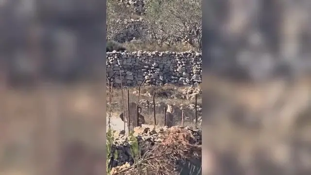 Video thumbnail for Palestinian-American confronts Israeli settler in occupied West Bank.