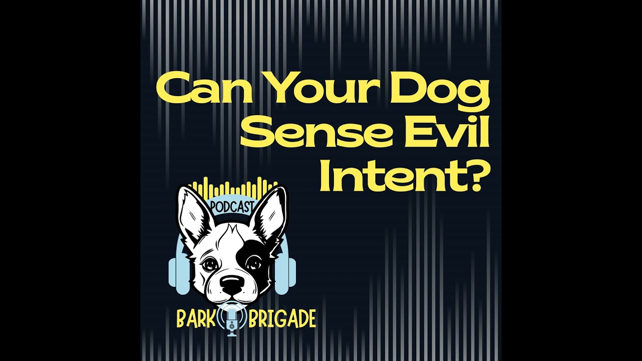 Video thumbnail for Can Dogs Sense Evil?