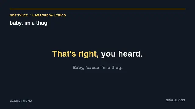 Video thumbnail for baby, im a thug (Karaoke w/ Lyrics)