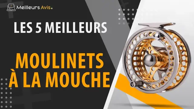 Video thumbnail for ⭐️ MEILLEUR MOULNET A LA MOUCHE - Comparatif 2023