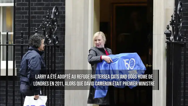 Video thumbnail for Au 10 Downing Street, les premiers ministres se succèdent, mais Larry le chat reste.