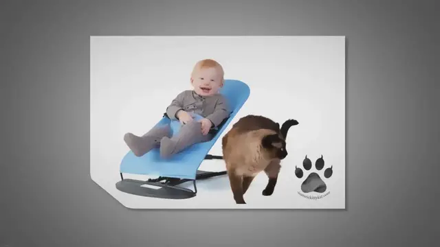 Video thumbnail for Are Siamese Cats Good With Babies and Toddlers?