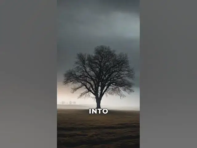 Video thumbnail for Discover Amaterasu: The Goddess of the Sun!