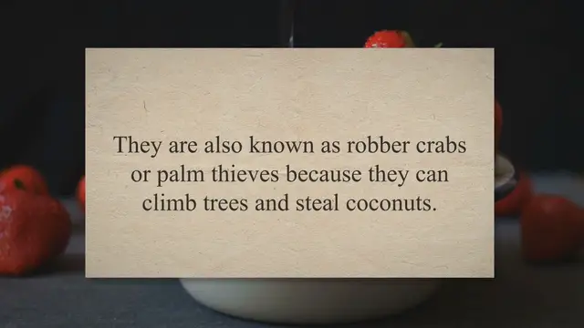 Video thumbnail for Can You Eat Coconut Crabs? – Press To Cook