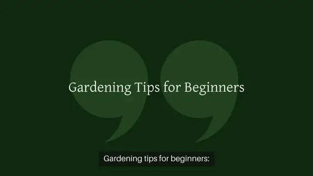 Video thumbnail for Gardening tips for beginners