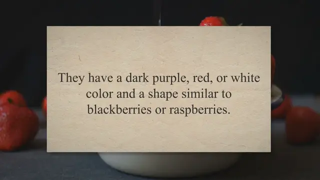 Video thumbnail for Can You Eat Mulberries? – Press To Cook