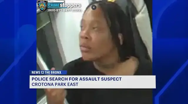 Video thumbnail for Woman assaulted while riding 2 train in Crotona Park East