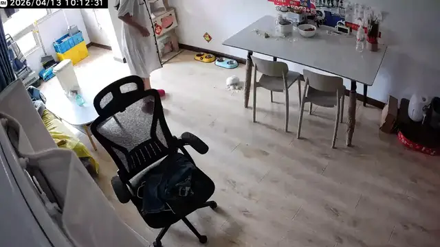 Video thumbnail for Cat Accidentally Knocks Food Bowl Off Table in Sichuan