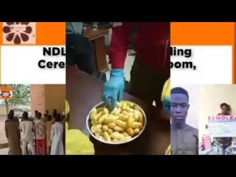 'Video thumbnail for NDLEA Invades Wedding Ceremony, Arrests Groom, Guests ~ OsazuwaAkonedo'