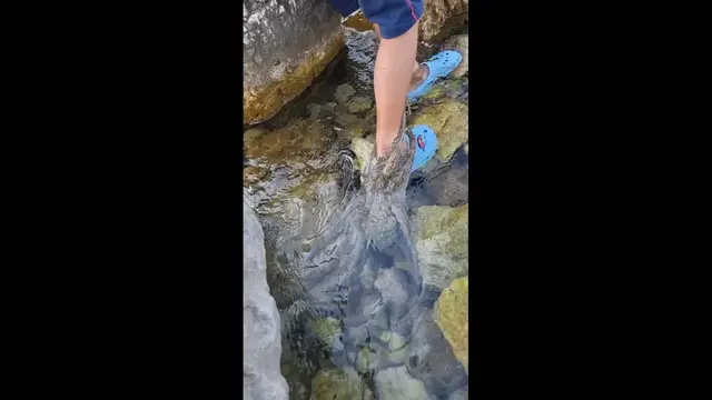 Video thumbnail for Boy’s Playful Tug-of-War with Octopus in Greece