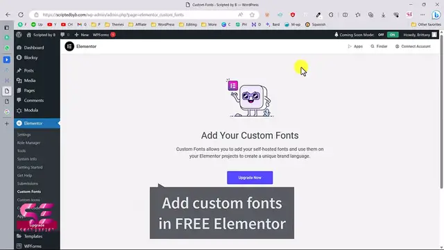 Video thumbnail for How to add Custom Fonts on Elementor Free Version