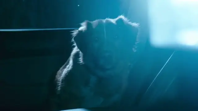 'Video thumbnail for Good Boy: There We Go'