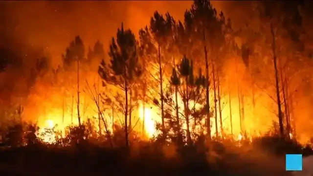 Video thumbnail for France's unprecedented wildfires: Convergence of climate change and historical landscape engineering