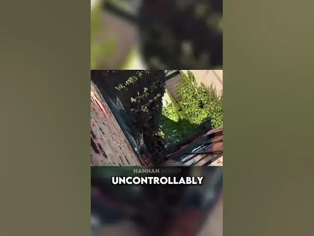 'Video thumbnail for Cycle of Life 🌱 #movieexplained #movieclips  #movieexplained #foryoupage #hannanhoney'