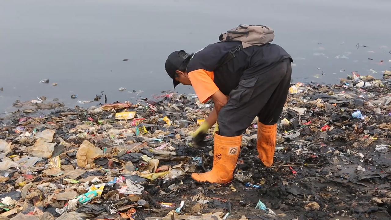 Video thumbnail for Indonesia: Workers clear tons of plastic waste from Jakarta coastline ahead of World Environment Day.