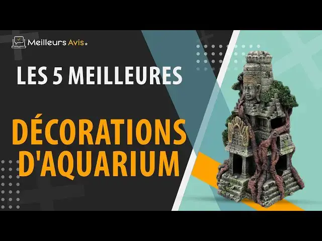 Video thumbnail for ⭐️ MEILLEURE DÉCORATION D'AQUARIUM - Comparatif 2024
