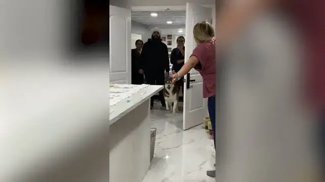 Video thumbnail for Family Go Nuts As Closet Opens To Reveal Baby News | Happily TV