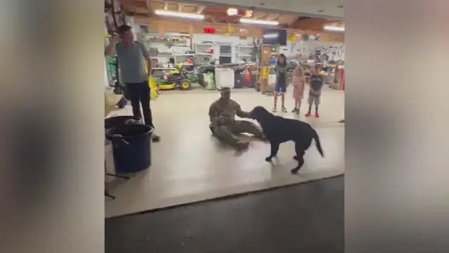 Video thumbnail for Dog Reunited With Owner Returning From Deployment | Happily TV