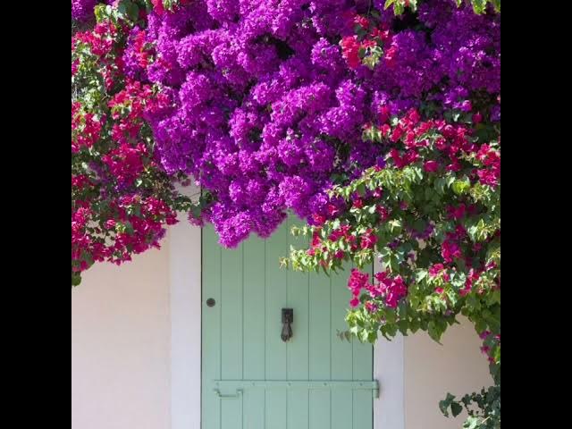 Video thumbnail for Relaxation Melody - Classical Music