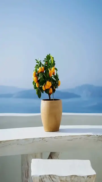 Video thumbnail for Classical Music / Time Travel / Relaxation Music