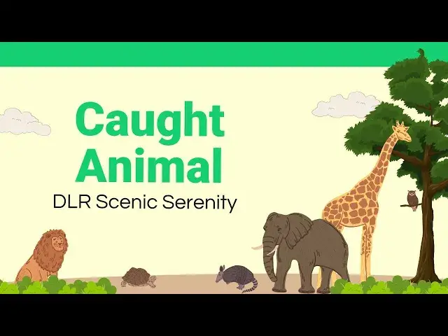 'Video thumbnail for Animals || Animal kingdom || Beauty of world || Freedom Of Life'