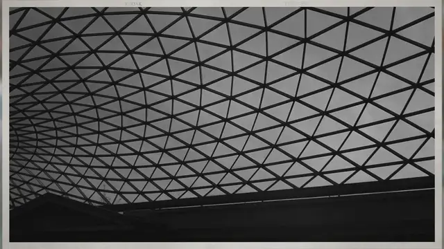 Video thumbnail for Elements of an Ecosystem: Exploring the Intricate Web of Life in Ecosystems