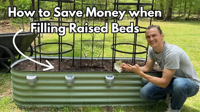 Video thumbnail for Trick to Save Money when Filling Raised Bed Gardens for Veggies