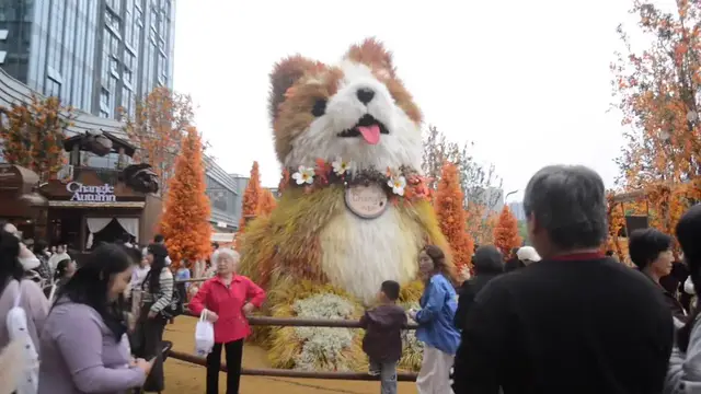 Video thumbnail for China: Giant Plant Corgi Scruffy Dog.