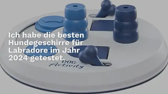 Video thumbnail for Die 5 Besten Labrador Hundegeschirre im Test (2024)