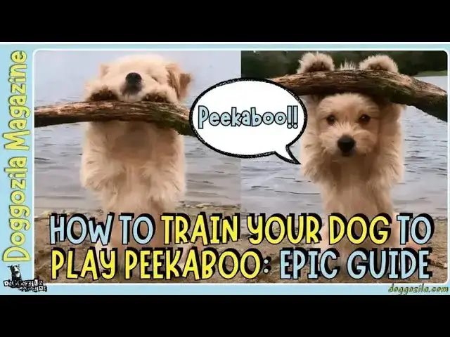 Video thumbnail for How to Train Your Dog to Play Peekaboo?