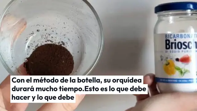 'Video thumbnail for Con el método de la botella, la orquídea te dura toda la vida: la táctica de cada viverista'