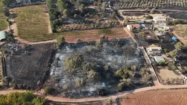 Video thumbnail for France: DRONE - Aftermath of Taradeau wildfire in southern France.